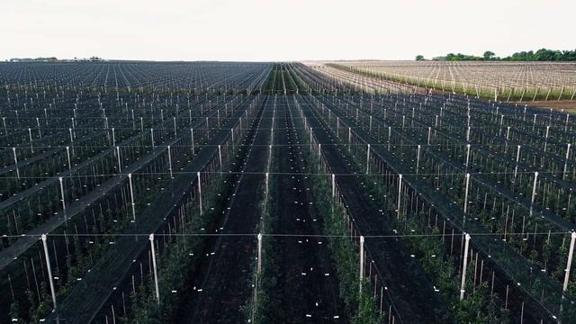 О планируемых обработках смотреть онлайн