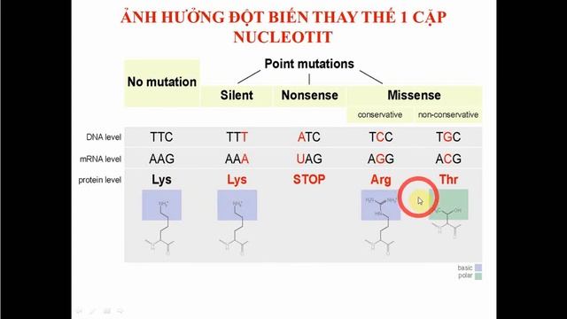 ĐỘT BIẾN GEN DEMO смотреть онлайн