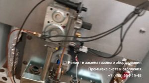 Напольный Protherm не разжигается. Ремонт котла. Рассрочка платежа!+7 (495) 664-49-45