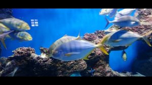 песня Элли и его друзья из мультфильма волшебник Изумрудного города караоке