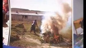 «Японская учительница»