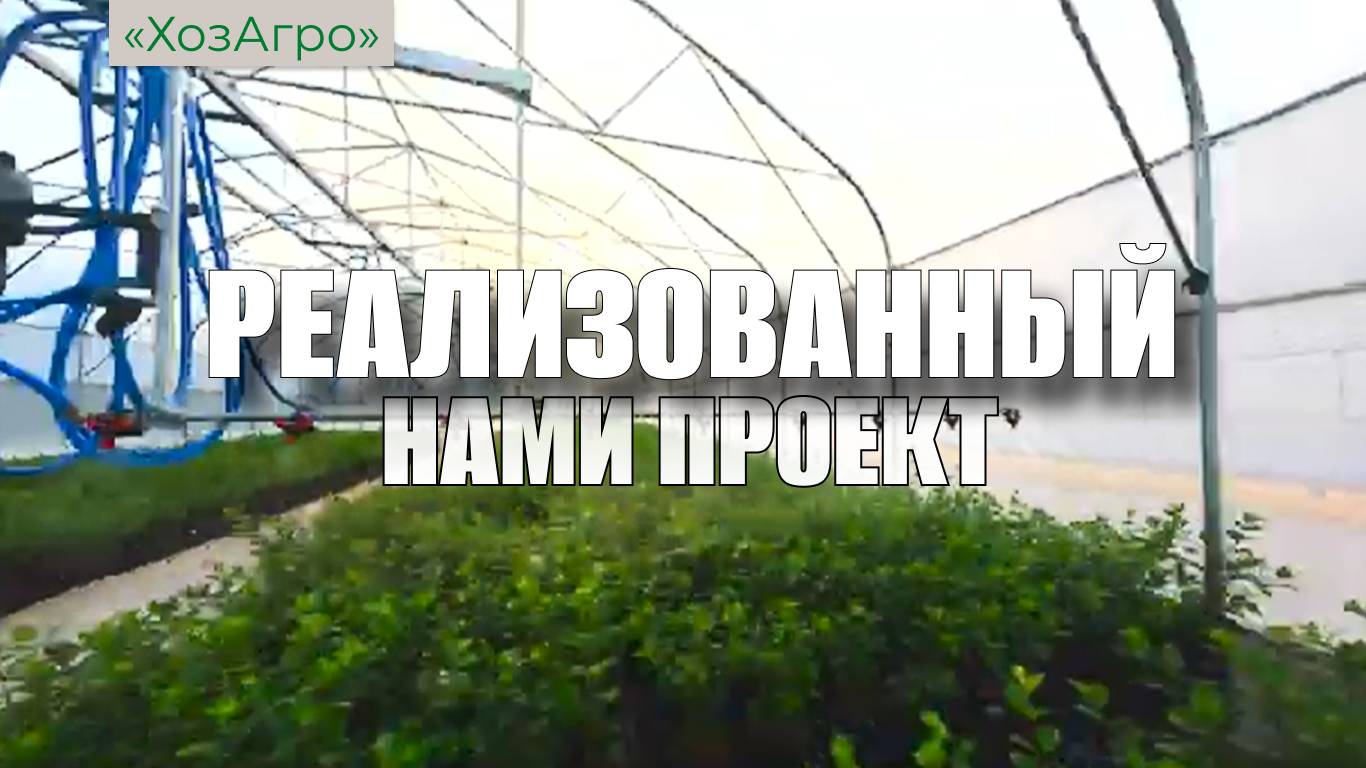 Реализованный нами проект в д. Лескова🌱