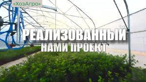 Реализованный нами проект в д. Лескова🌱