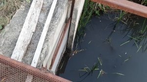 Как устроена система водоснабжения в первом пруду сзади нашего огорода. Краснодарский край Лабинский
