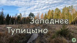 Западнее Тупицыно