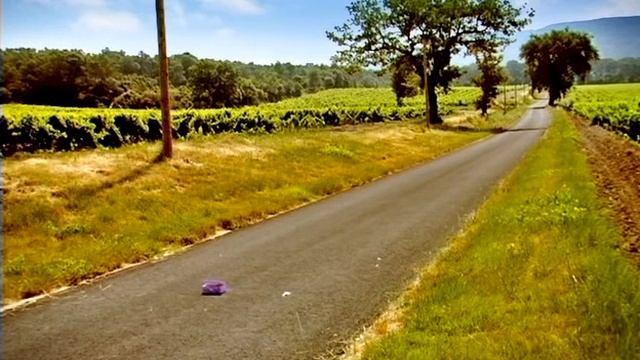 Букашки.02.Муравьи. смотреть онлайн