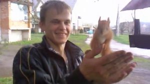 Одомашнивание белки - домашняя белка впервые в истории!