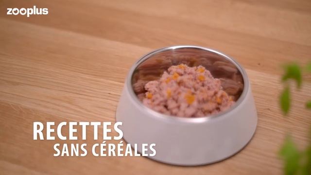 Concept for Life Veterinary Diet Gastro Intestinal pour chien смотреть онлайн