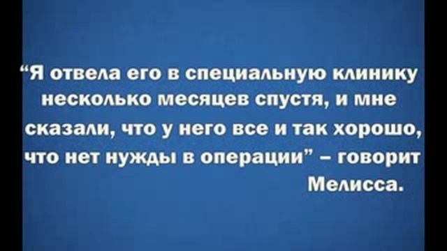 Ветеринар хотел усыпить котёнка но женщина его спасла смотреть онлайн