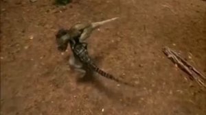 КАРХАРОДОНТОЗАВР vs ЦЕРАТОЗАВРА. Динозавр vs динозавра. БОЙ №9.