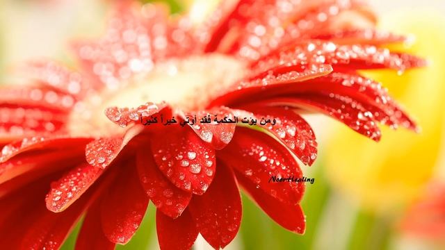 Strong Ruqyah for any issues related to concentration & Focus смотреть онлайн