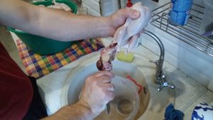 ПОТРОШЕНИЕ ПЕРЕПЕЛОВ