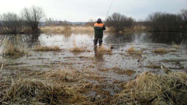 Охота на селезня 26 04 2017 смотреть онлайн