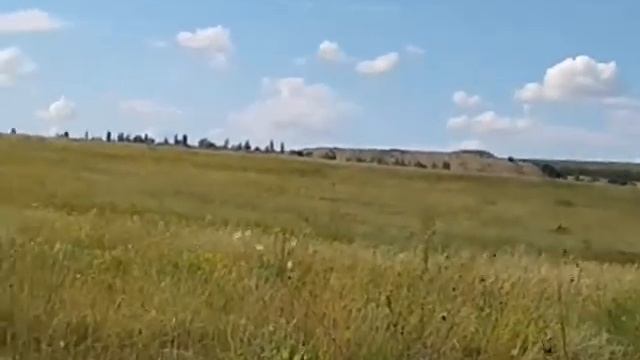 Пташенята жайворонка
