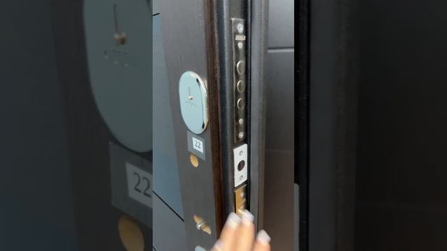 Гарда муар Темный кипарис Царга