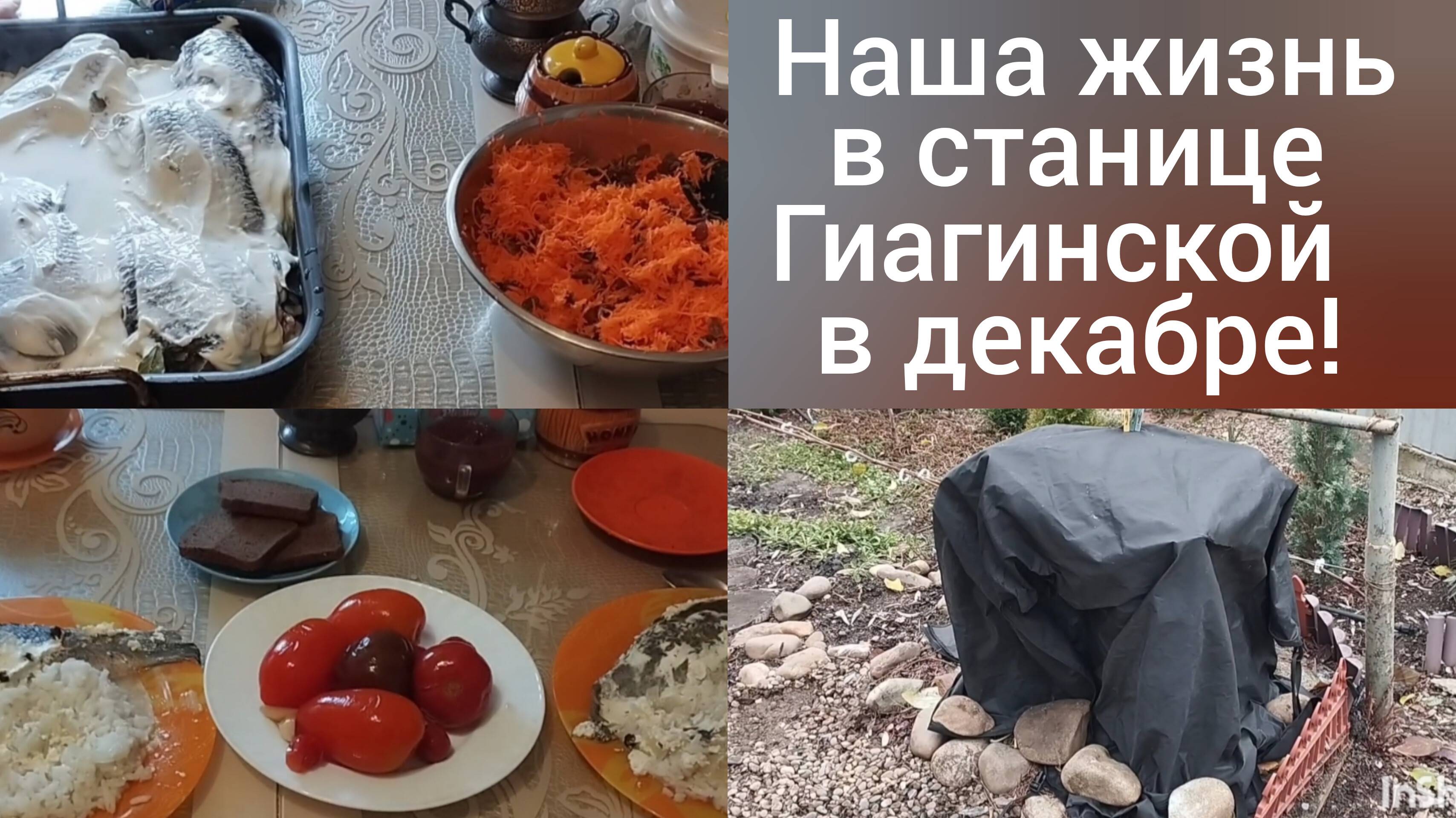 Переехали в Адыгею из Омска/Наша жизнь в станице Гиагинской в декабре/ смотреть онлайн