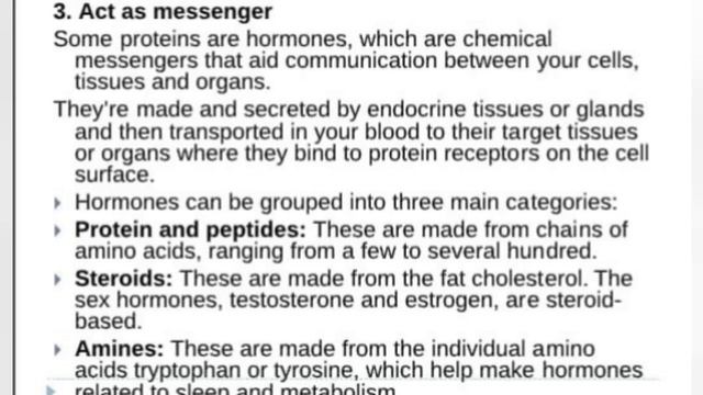 What Is Protein | Functions Of Protein | Food Sources Of Protein смотреть онлайн