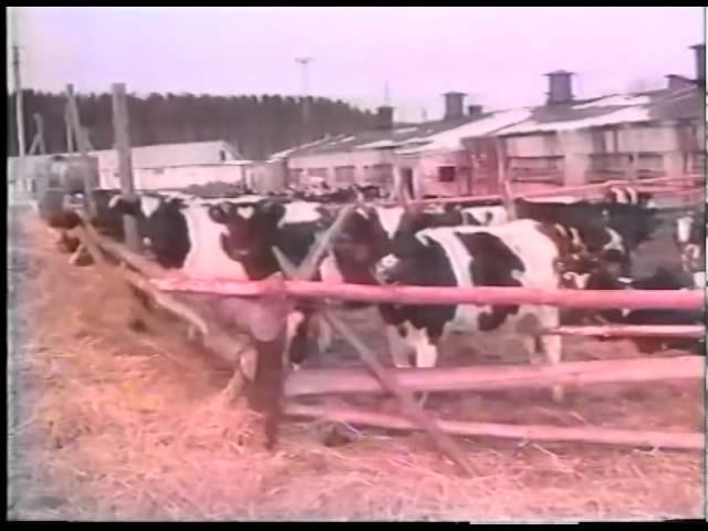 Не ждали смотреть онлайн