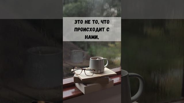 “Самое важное в жизни смотреть онлайн