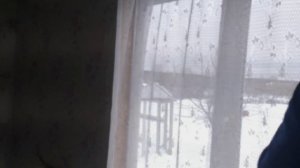 Дешевая клетка для кроликов, своими руками