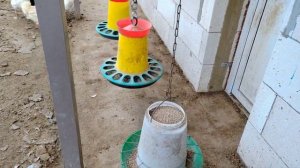 Подвешивание автокормушек для кур