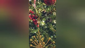 С наступающим 2025 годом.