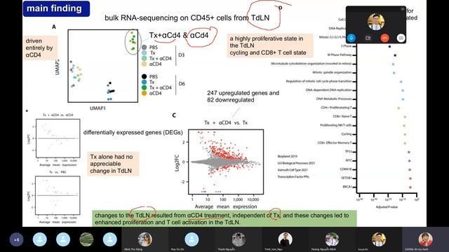 JCS 4. Regulator T cells constrain CD8 T cells priming in cancer immunotherapy