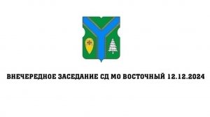 Внеочередное заседание СД ВМО – МО Восточный в г. Москве 12.12.2024