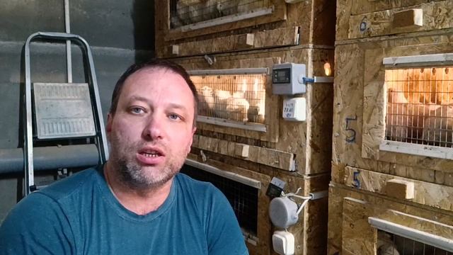 ЗАМОРАЧИВАТьСЯ ИЛИ НЕТ РЕШАТЬ ВАМ! КАЧЕСТВО ПОДДОНОВ!