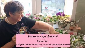 Болталка про Фиалки! Выпуск 11: Собираем заказ на детки и листики черенки фиалочек!