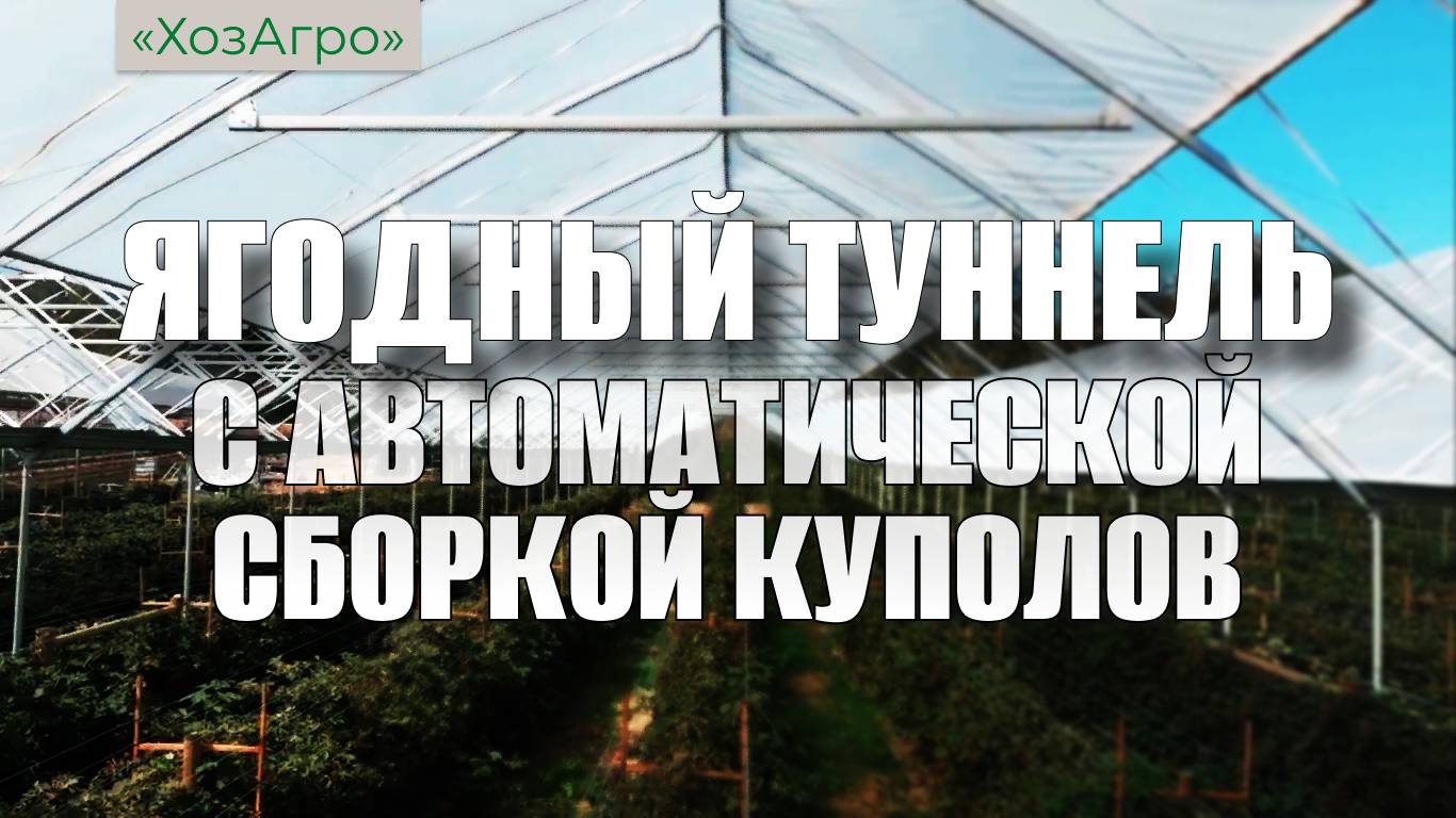 Туннели с автоматической сборкой куполов🍓