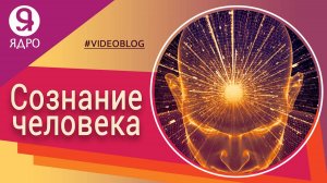 Что такое сознание человека 💥 в психологии? Свойства сознания личности🔥