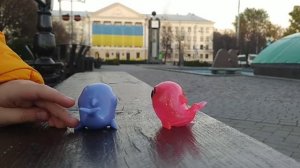 прогулочка дельфинов🐬 You you little Dolphin дикси и менди гуляют 🐬 #дельфины #дельфин #прогулка