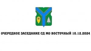 Очередное заседание СД ВМО – МО Восточный в г. Москве 10.12.2024