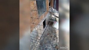 срочно вольер для кур  (вольер под курятником)