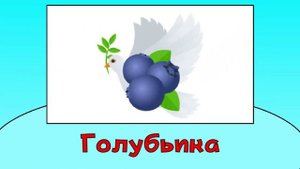 🐦 Птицы + ШИЗА =