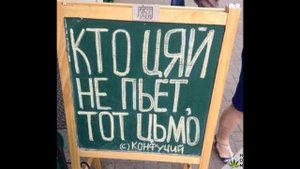 Тупая как дрова