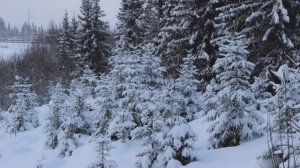 Не хочу я на Мальдивы.О.Богдан,В.Обожин