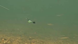 Проводка TUKA Kite : Chubby  с переходом в более высокий горизонт
