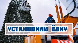 Установили новогоднюю красавицу