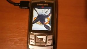 Samsung D840