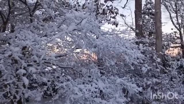 Мадам S получила предложение от Никадимуса-отца. Жизнь на юге Англии счастлива в путешествиях.