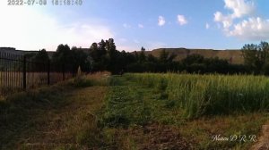 СЕЛЬСКАЯ МЕСТНОСТЬ • ЧИСТЫЙ ВОЗДУХ • СЕНОКОС