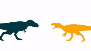 Tyrannosaurus rex vs Saurophaganax (stick nodes)
