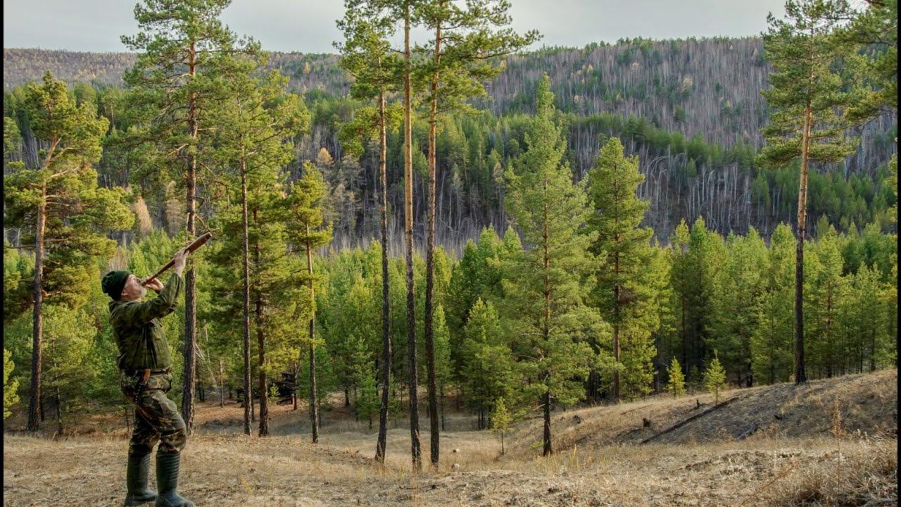 Байкальскому заповеднику посвящается