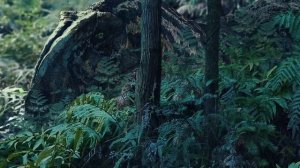 Yangchuanosaurus hunt - Охота Янхуанозавра