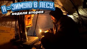 Я - зимую в лесу. Неделя вторая. Начал забывать какое сегодня число и день недели.