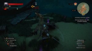 Ведьмак 3: Дикая охота. Прохождение. Берег погибших кораблей (часть 45)