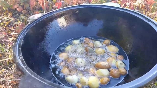 Жареная картошка в масле смотреть онлайн