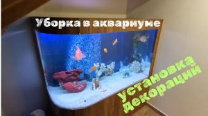 ГЕНЕРАЛЬНАЯ переборка АКВАРИУМА #коралл  #аквадизайн  #аквариум  #оформлениеаквариума #aquarium